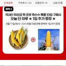 초당 몇개까지 가넝?초당옥수수 특품 10+1입 추가 18,750원 이미지