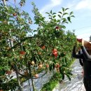 대겸농장 이미지