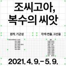 성노진 카카오 검색결과