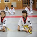 용소태권도 이미지