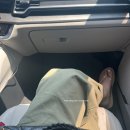 박가네칡냉면 | 2025. 여름지니⛱️👙🍉 (6월~8월)