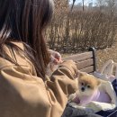 연희자연마당 공원 이미지