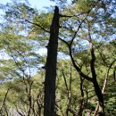 법기수원지 이미지