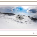 양떼목장 이미지