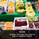 청도청과 이미지
