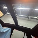 트루모터스