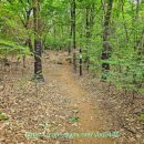 이정 경로당 이미지