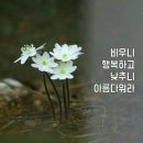 따뜻한 말 한 마디 이미지
