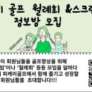 피케이스크린골프