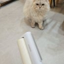 (주)신대한환경 지점 | 테이프클리너 추천 조셉드림 핸디롤러 사용후기