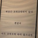 수영세상