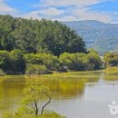 짠투어 - 북구 성북로9길 29 | 짠투어