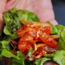 별빛수족관 이미지