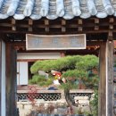 향우당 네이버블로그
