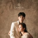 스튜디오까멜리아