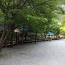 비둘기 펜션 이미지