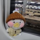알차게 다녀온🚅대구 당일치기 뚜벅이 여행(부산출발)