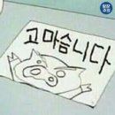 [제로이드] 루트힐 마일드 샴푸 내돈내산 후기_피부 알러지 극복 제품 추천