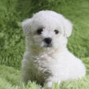 은아농장 이미지