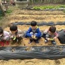 산남아이원어린이집 이미지