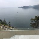 모이핀