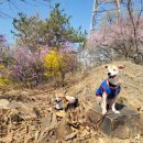 염창산 화장실 이미지