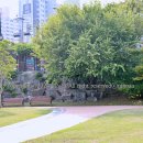 저수지어린이놀이터 이미지