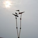 솟대 - 강남구 압구정로 334 | 솟대