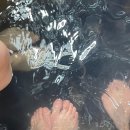 [후쿠오카 버스투어] 다자이후,유후인,벳부 지옥온천,후쿠오카 일일투어 후기 (마이리얼트립)