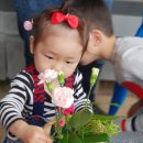 소야원