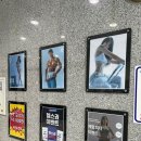 베로핏 휘트니스 이미지