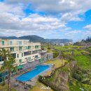 와이리조트 제주 | 제주도 서귀포 수영장 리조트 Y리조트 제주 오션뷰 감성 숙소 추천 조식 제공