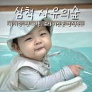 돔스토리휴양펜션 | 아기랑 첫여행 강원도 프라이빗풀 감성독채펜션 추천 : 한국의 발리 삼척 사유의숲