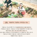 얼굴을 가꾸다 가꿈비누 30명 모집합니다 ^-^