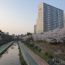 송산2교 이미지