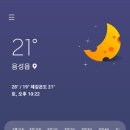 솔부엉이캠핑장 이미지