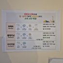 야탑 21세기아이들서점, 프뢰벨 영아다중 전집 단품 구매한 후기