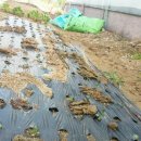 요한농원 이미지