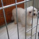 연서 동물병원 이미지