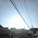 [정동진]정동진 썬크루즈 방어회&amp;조개찜 맛집 &#34;조희정 회 도매센터&#34; 모듬회 중 후기