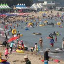 진하해수욕장 이미지