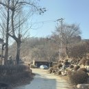 당너머흑염소 이미지