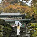 모레 제주 민박 | [11월 제주 단풍명소] 가볼만한곳, 천왕사 방문후기