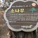 6.25 한국전쟁 슬픈 역사 경기 고양시 금정굴 이미지