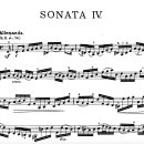 손 혈자리 수지요법 이미지