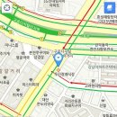 금송코리아