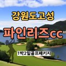 파인리즈빌라 휴양콘도미니엄 | 강원도골프 파인리즈cc에서 티샷도 날리고 스트레스도 날리고