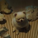 혜민동물병원 이미지