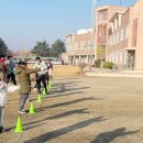 다시초등학교 이미지