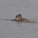 부엉이 PC방 이미지